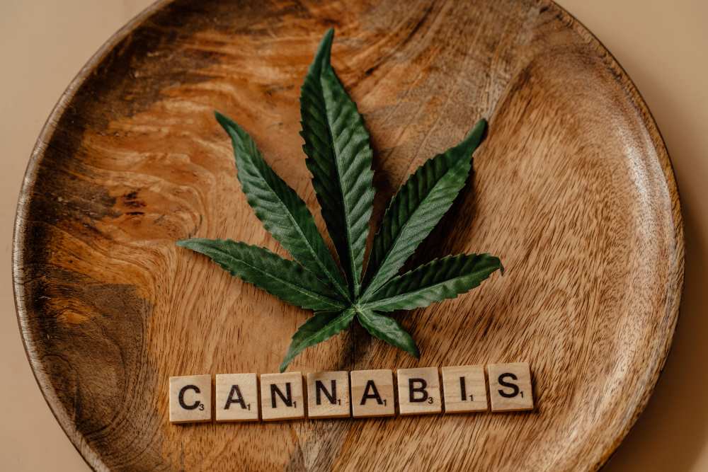 Cannabis sativa a indica a jejich účinky